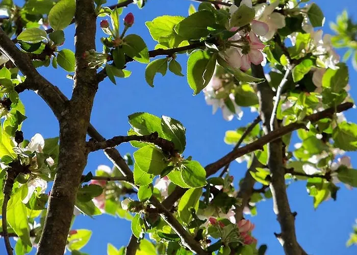 Et Jardin De Pierres 3* Espédaillac