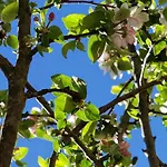 Et Jardin De Pierres 3* Espédaillac