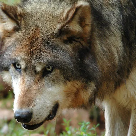 Et Jardin De Pierres 3*