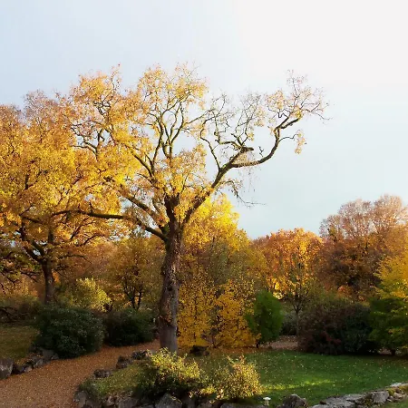 Et Jardin De Pierres Bed & Breakfast Espedaillac