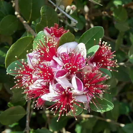 Et Jardin De Pierres 3*