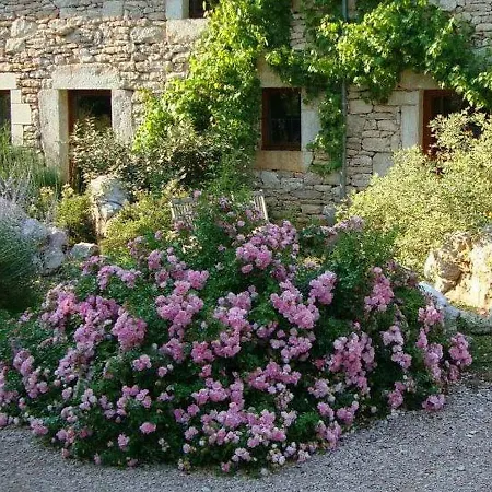 Et Jardin De Pierres 3*